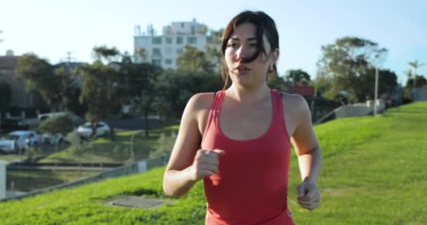 8 Sports Bra X Stock Video Footage - 4K and HD Video Clips