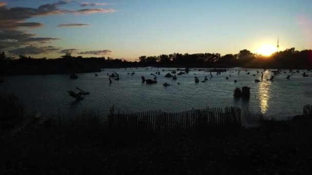 Caída Puesta Sol Sobre Las Tierras Pantanosas Leslie Spit — Vídeo de stock