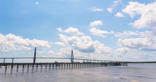 Marsh Pohled Časová Prodleva Arthur Ravenel Most Charleston Přístav Jak — Stock video