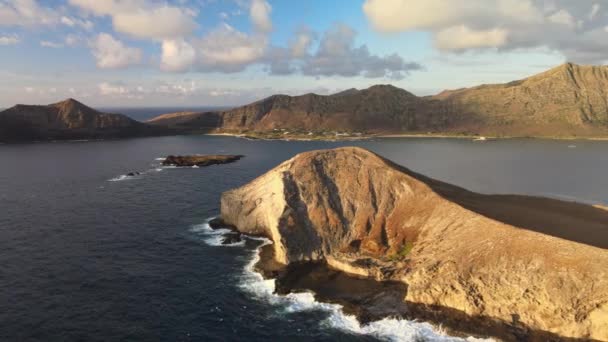 Pomalý Pravidelný Záznam Manana Islandu Nebo Rabbit Islandu Havaji Tento — Stock video