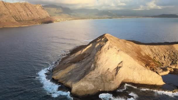 Pomalý Pravidelný Záznam Manana Islandu Nebo Rabbit Islandu Havaji Neustálý — Stock video