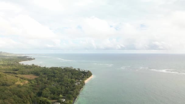 Flyover Zatoki Kahana Oahu — Wideo stockowe