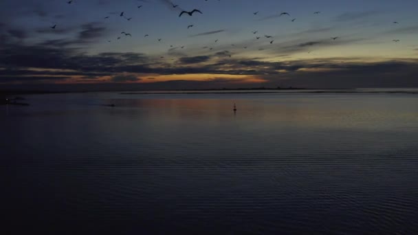 Ptaki Wznoszą Się Nad Niesamowitym Odblaskowym Spokojnym Oceanem Dronem Podczas — Wideo stockowe