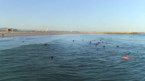 Zdjęcia Lotnicze Obracające Się Nad Grupą Surferów Czekających Fale Ocean — Wideo stockowe