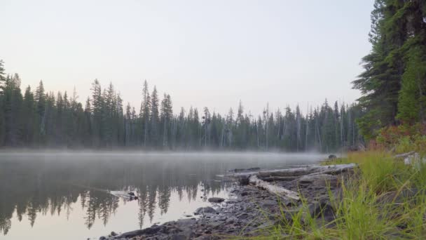 一缕静谧的晨雾掠过高山湖面 映入沉思 — 图库视频影像