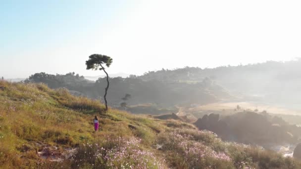 Chica Caminando Campo Flores Noreste India — Vídeos de Stock