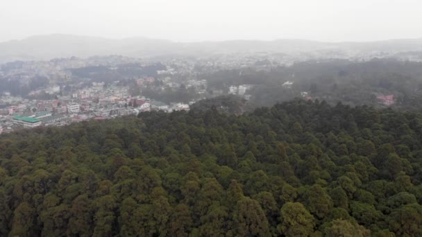 Drone Shot Forest City Background — Stock Video