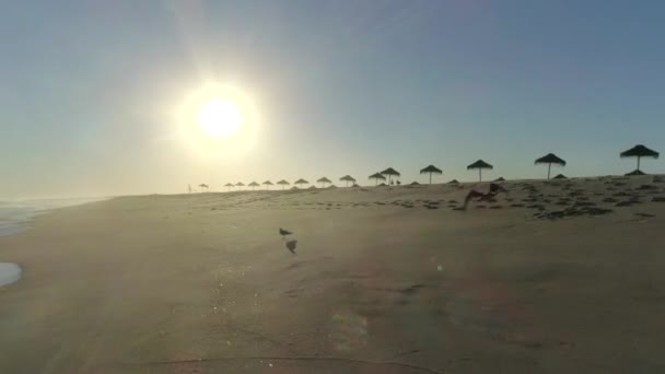 Drone Vola Bassa Altitudine Sopra Incredibile Spiaggia Con Onde Calme — Video Stock