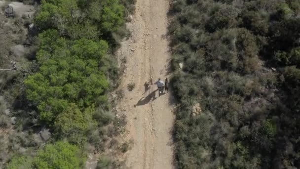 一名男子带着两只狗在一条泥泞的自行车道上奔跑 无人驾驶飞机在头顶飞行 — 图库视频影像