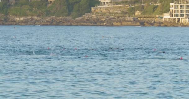 Nadadores Cámara Lenta Aguas Oceánicas Sydney Australia — Vídeos de Stock