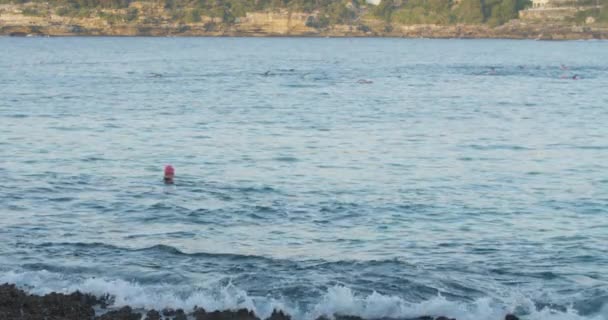 Pessoa Nadar Oceano North Bondi Beach Sydney Austrália Movimento Lento — Vídeo de Stock