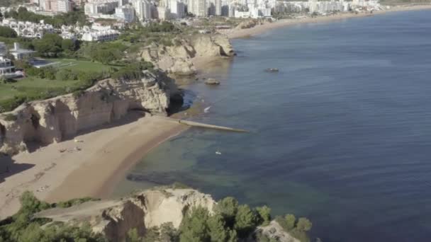 Latanie Nad Dwojgiem Ludzi Wiosłuj Desce Niesamowitej Tropikalnej Plaży Otoczonej — Wideo stockowe