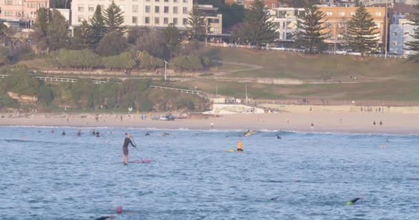 Turistas Desfrutando Paddleboarding North Bondi Beach Sydney Austrália — Vídeo de Stock