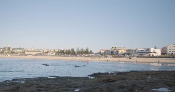 Австралийское Место Серфинга Пляже Норт Бонди Сиднее Новый Южный Уэльс — стоковое видео