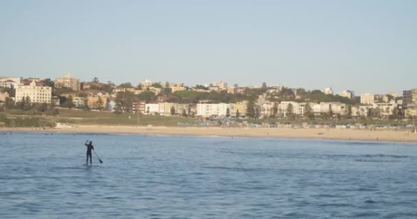 Man Paddleboard North Bondi Beach New South Wales Austrália — Vídeo de Stock