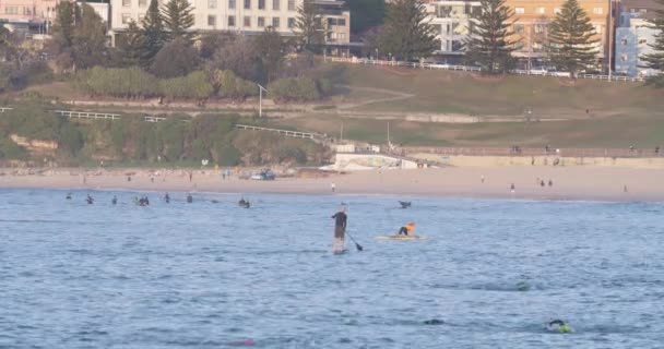 Osoba Sup Ocean Bay North Bondi Beach Sydney Austrálie Statické — Stock video