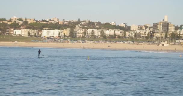 Uomo Paddle Board Con Sfondo North Bondi Beach Sydney Australia — Video Stock