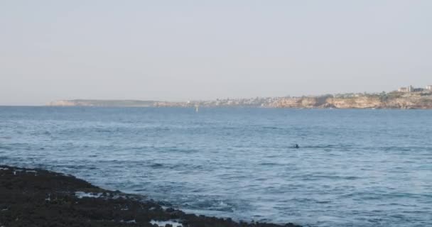 Один Самотній Плавець Тренується Океані Абстрактний Статичний Перегляд Простором Копіювання — стокове відео