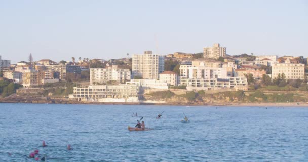 Conceito Exercício Aquático Kayakers Swimmers Fora Praia North Bondi Austrália — Vídeo de Stock