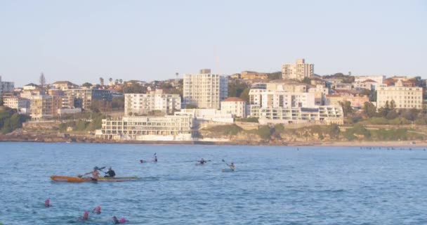 Pessoas Fora Vivendo Vida Desfrutando Natureza North Bondi Bay Austrália — Vídeo de Stock