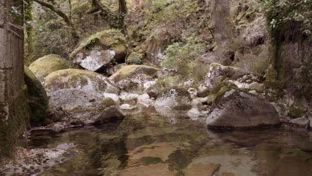 Teich Aus Stillem Wasser Mit Bemoosten Steinen — Stockvideo