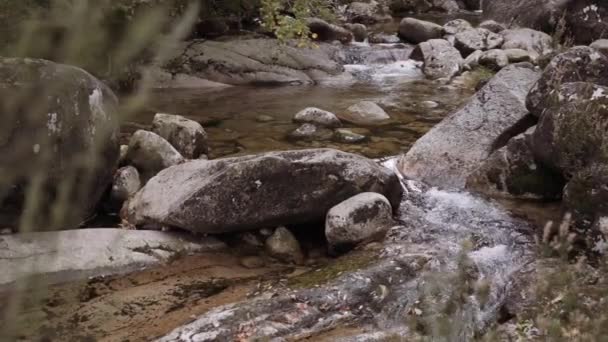 Zeigen Zeitlupe Jib Schuss Von Wasser Stream Creek — Stockvideo