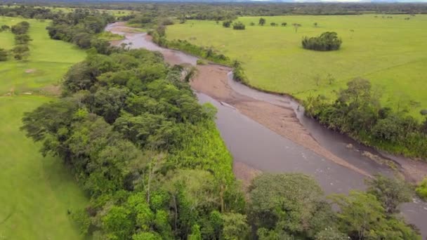 哥伦比亚东部平原 东方Llanos — 图库视频影像