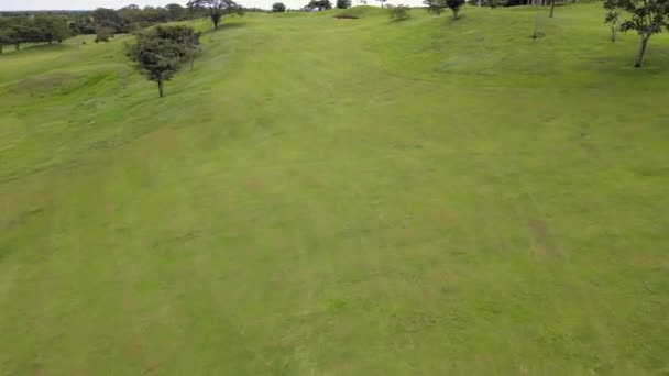 Campo Golfe Colômbia — Vídeo de Stock