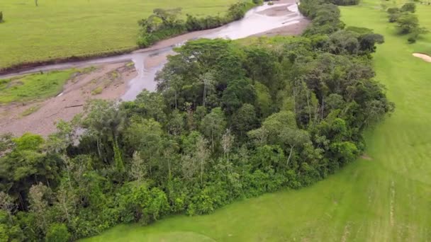 Colombia Llanuras Orientales Llanos Orientales — Vídeo de stock