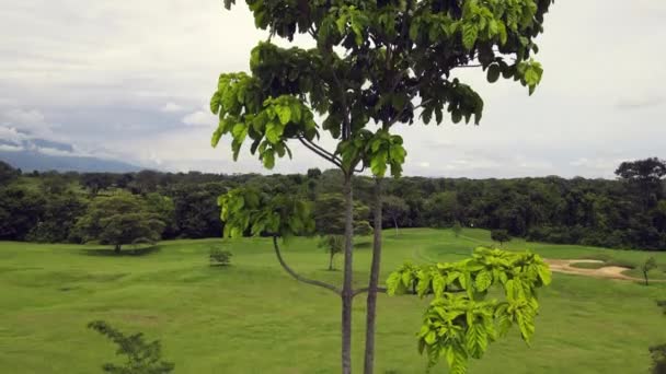 Colombia Llanuras Orientales Llanos Orientales — Vídeo de stock