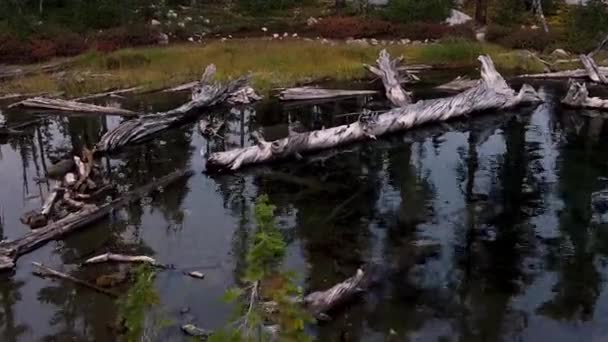 Скрытая Жемчужина Пильной Горе Изолированное Место Постепенно Обновляется Природой Помочь — стоковое видео
