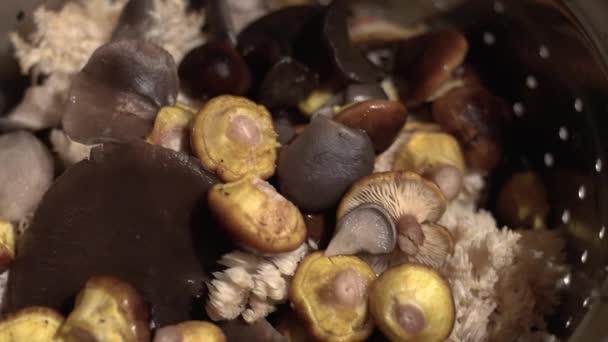 Close Handheld Shot Clean Exotic Wild Mushrooms Ready Kitchen — Stock Video