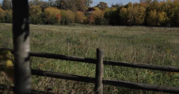 Farm Udvari Mező Körül Egy Fából Készült Kerítés Fák Háttérben — Stock videók