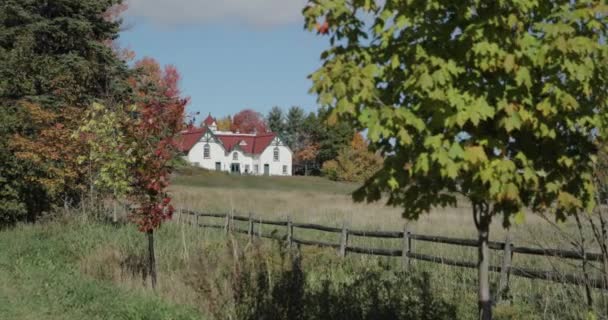 Walking Driveway View White Heritage Farm House Fenced Grassy Field — Stock Video