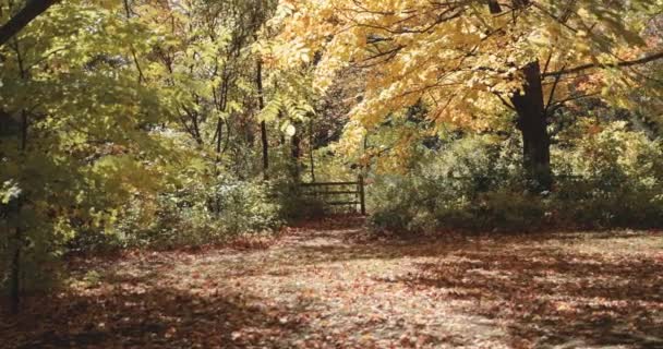Krásné Podzimní Prostředí Dvoře Farmě Gatineau Quebec — Stock video
