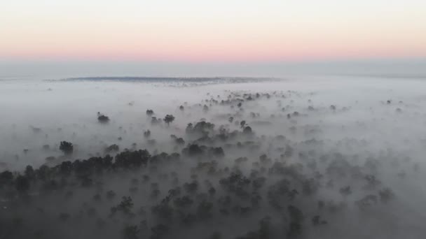 Vista Aérea Mañana Brumosa Los Bosques Del Sudeste Asiático — Vídeos de Stock