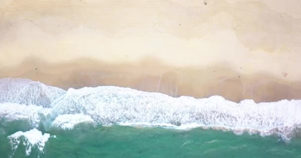 Foamy Ocean Waves Splashing Sand Bondi Beach Sydney Australien Top — Stockvideo