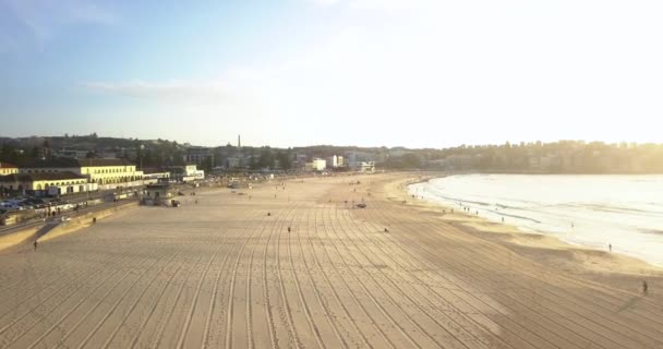 Turistas Divertindo Scenic Bondi Beach Sydney Dia Ensolarado Drone Aéreo — Vídeo de Stock