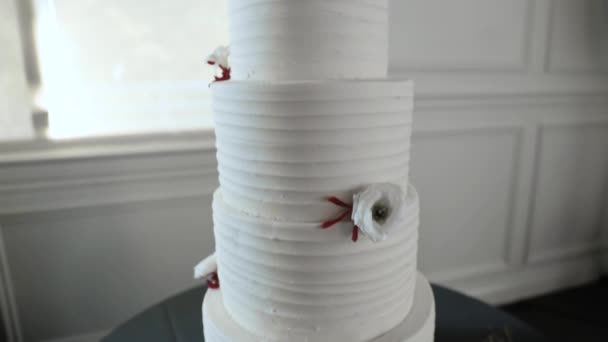 在Orchard View婚宴中心举行的酒会上 漂亮的层次化婚礼蛋糕 — 图库视频影像