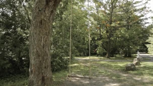 農家の裏庭でロープの木のスイングを歩く — ストック動画