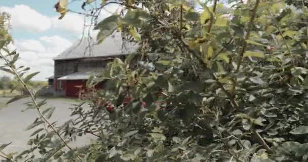 斯特拉丝米尔度假村和温泉度假村的蓝天 从一片树叶茂密的灌木丛后面露出了小屋的建筑 — 图库视频影像