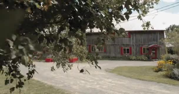 位于安大略省渥太华市Strathmere度假村和温泉疗养院的婚宴接待室从一棵美丽的绿叶树后显露出来 — 图库视频影像