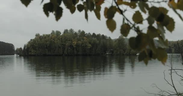Великолепный Вид Озеро Lac Viceroy Монпелье Квебек Листьями Деревьев Переднем — стоковое видео