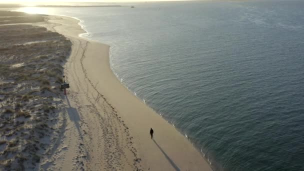 Egy Ember Sétál Egyedül Tengerparton Egy Lakatlan Szigeten Portugáliában Naplementekor — Stock videók