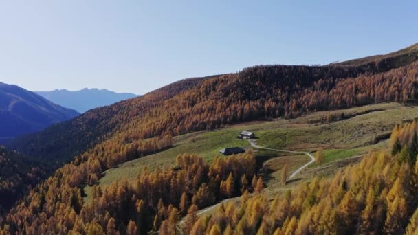 Samotna Malga Otoczona Świerkami Dolinie Lagurai Łańcucha Trentino Włochy — Wideo stockowe