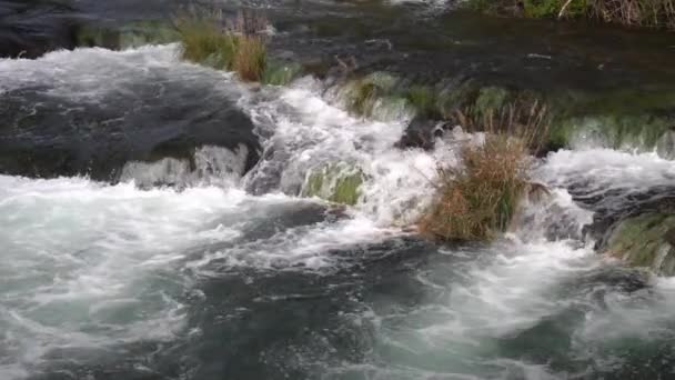 在克罗地亚克尔卡国家公园 水从一层流到另一层 散布着绿色和浅褐色的植物 速度很快 — 图库视频影像