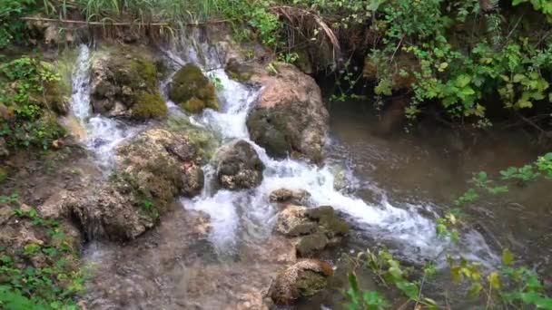 Agua Que Fluye Más Allá Las Grandes Rocas Cubiertas Musgo — Vídeo de stock