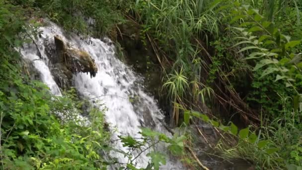 Agua Que Fluye Más Allá Las Rocas Tronco Árbol Con — Vídeo de stock