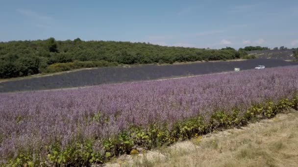 Αυτοκίνητο Τρέχει Υψηλή Ταχύτητα Στην Εθνική Οδό Δίπλα Όμορφα Λιβάδια — Αρχείο Βίντεο