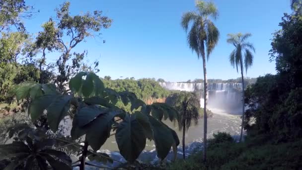 Beautiful Waterfall Seen Huge Palms Argentina South America — Stock Video